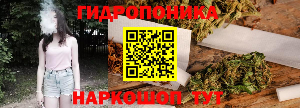 Шишки марихуана MAZAR  Вход с VPN  Гусев  Канабис Amnesia  МАРИХУАНА марихуана 